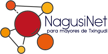 Logo Nagusinet 5B5b